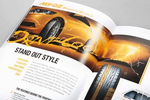 Bridgestone Pattern Digest MY-02 content