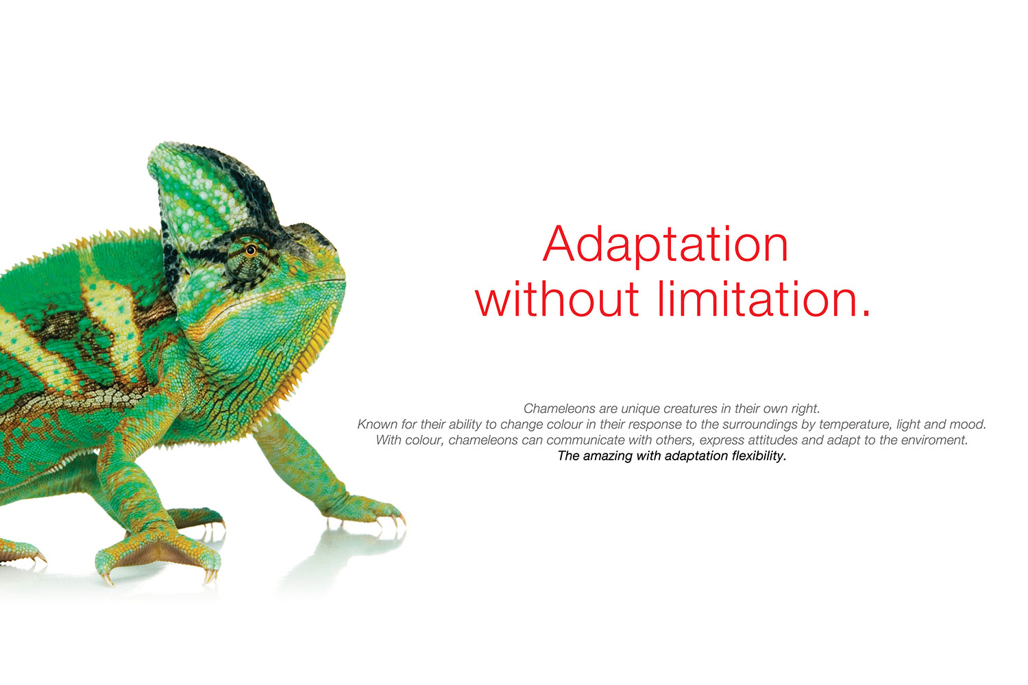 Toshiba campaign - Imagination without limitation